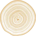 Parketwerk logo