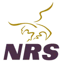 National Recruitment Services BV logo
