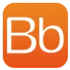 Brainbox Consulting logo
