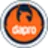 Dapro Safety logo