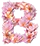 Bloom Fashion logo