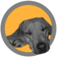 ZitzakkenStore.nl logo