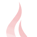 NIVI BHV BV logo