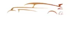 The Car Gallery logo