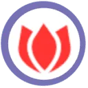 Dutch Parkingservice logo