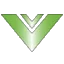 VISION BRANDS logo