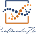 Puntvandeziel ScanCoaching® & Acupunctuur logo