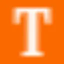 Talos Risk Services logo