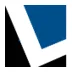 LomaxSystems BV logo