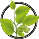 Greengo Products logo