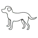 Coachpraktijk Bo Vertelt logo