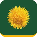 Mijn Buitenplaats Makelaardij logo