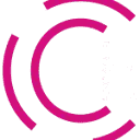 Check it logo