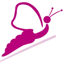 de Lange AND Partners training en coaching logo