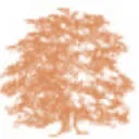 Erfgoed Rikkerda logo