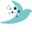 CYBSS logo