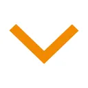 Vesting Accountants B.V. logo