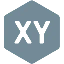XY Solutions Group logo