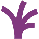 Digitale Stad logo