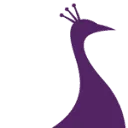 Fancit logo