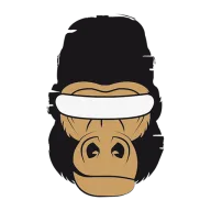 VR Gorilla logo