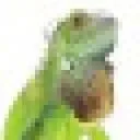 Reptiles Twente logo