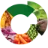 vanRijsingengreen logo