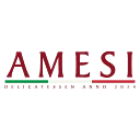 Amesi logo