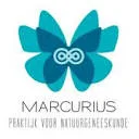 Marcurius logo
