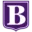 Bekensteyn Training AND Coaching logo