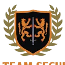 Top Team Group B.V. logo