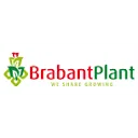 Brabant Plant B.V. logo