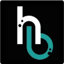 Loodgieters-/Dakdekkers-/Installatiebedrijf Brommer BV logo