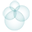 BiomACS logo