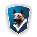 Gool Security logo