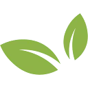 Stichting Flevion logo