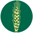 Boerhaarshoeve logo