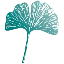 De Hortus Stichting voor natuur- en duurzaamheidseducatie logo