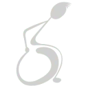 TNS revalidatie service logo