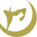 Aelivé Hifi AND Smart Homes logo
