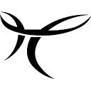 VTS Waardetransport logo