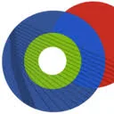 Biomedical Imaging Group Rotterdam logo