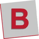 Bruins logo