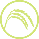 Zonnespelt logo