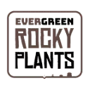 Evergreen Rocky Plants B.V. logo