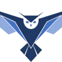 Brandwings logo