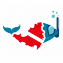 Dive Sint Maarten logo