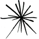 FlowerDutchess.com logo