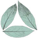 🌿Laurierkwekerij Gova logo