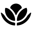 Natural AND Healthy logo